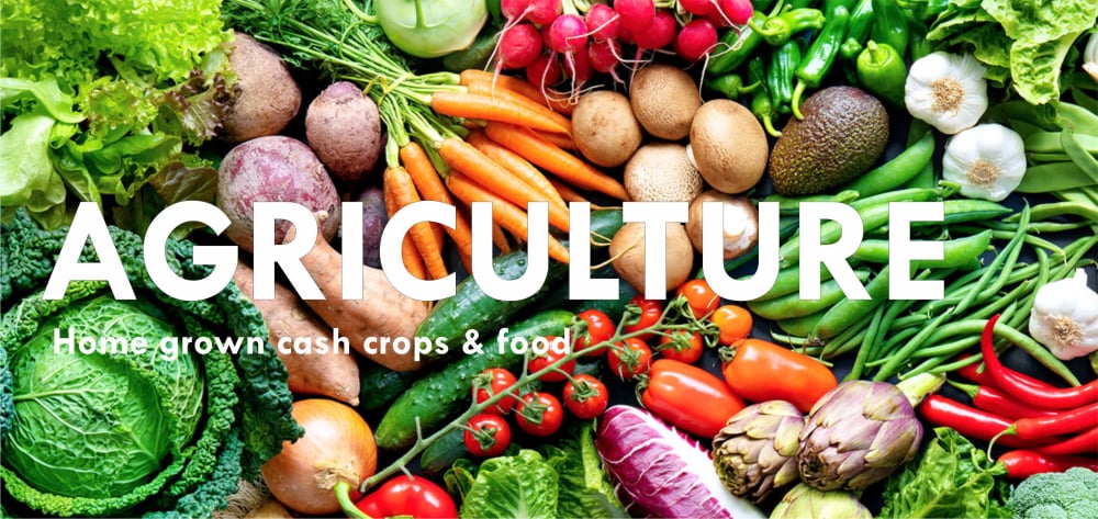 Cressall Resistors products 